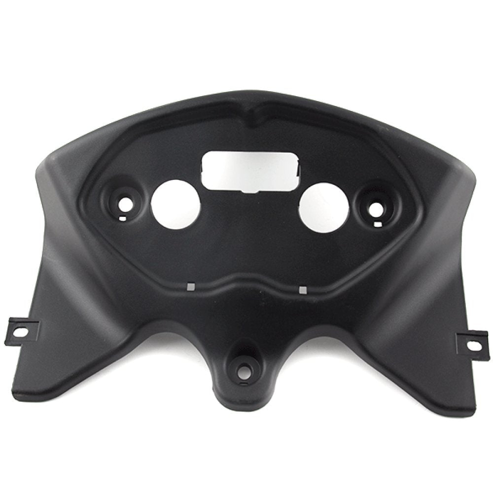 Speedo Surround Panel