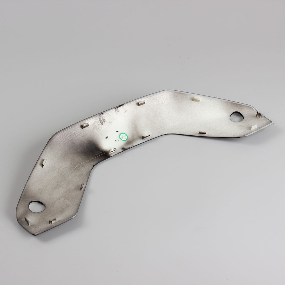 Speedo Surround Panel 2