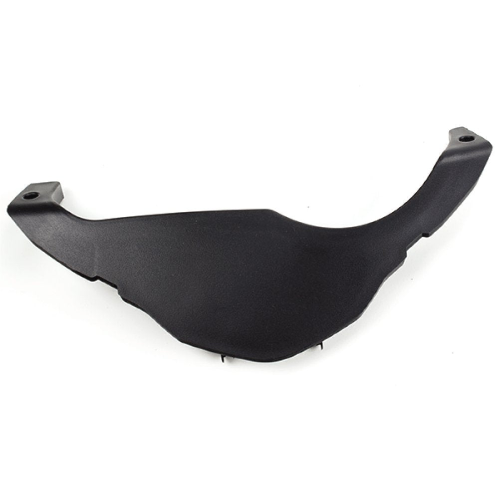 Speedo Surround Panel