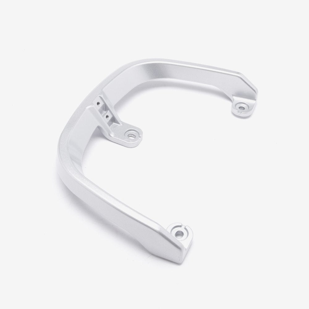 Pillion Handle