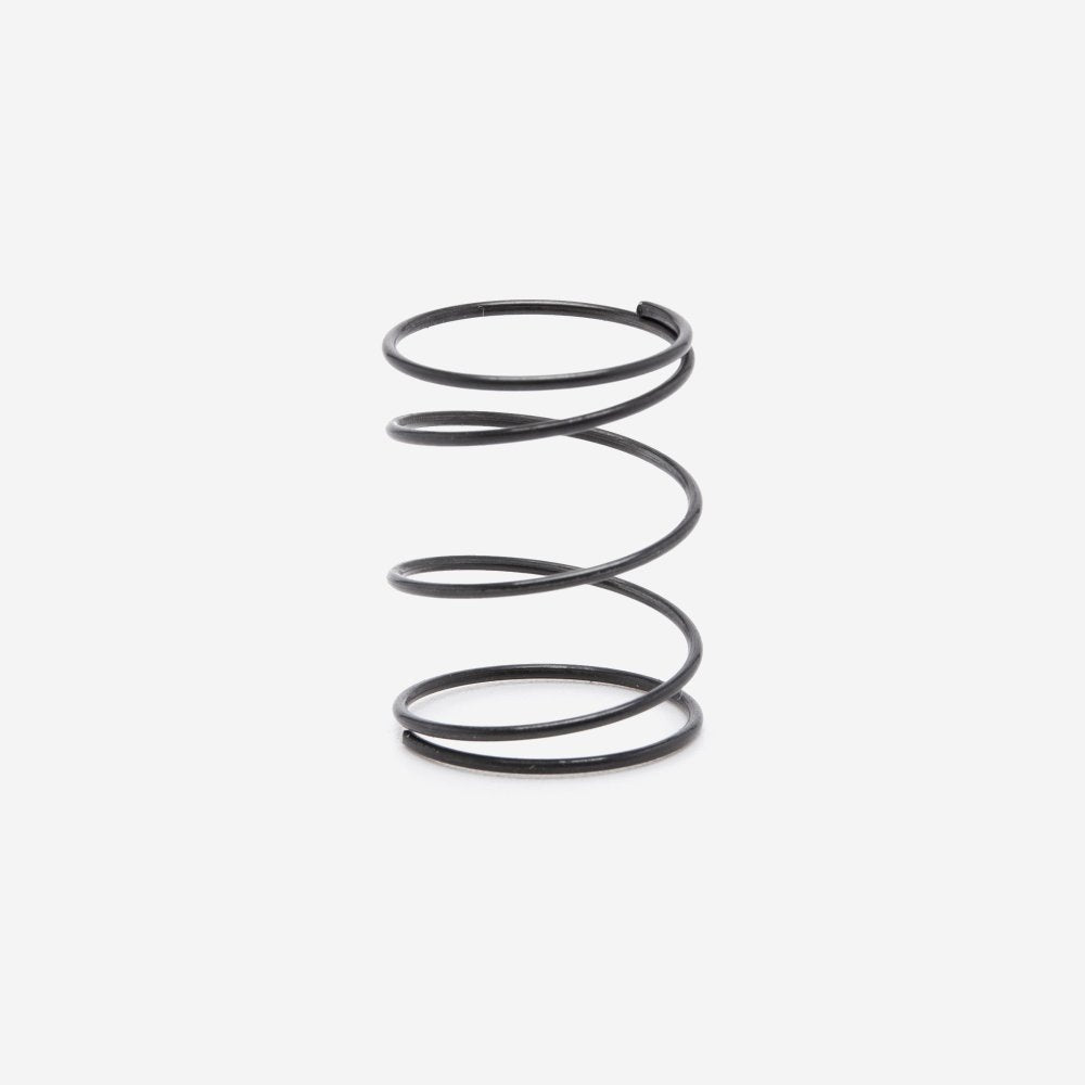 Seat Spring