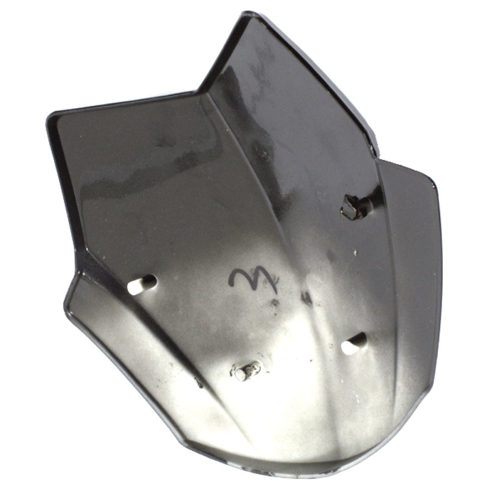 Wind Screen/Visor 2