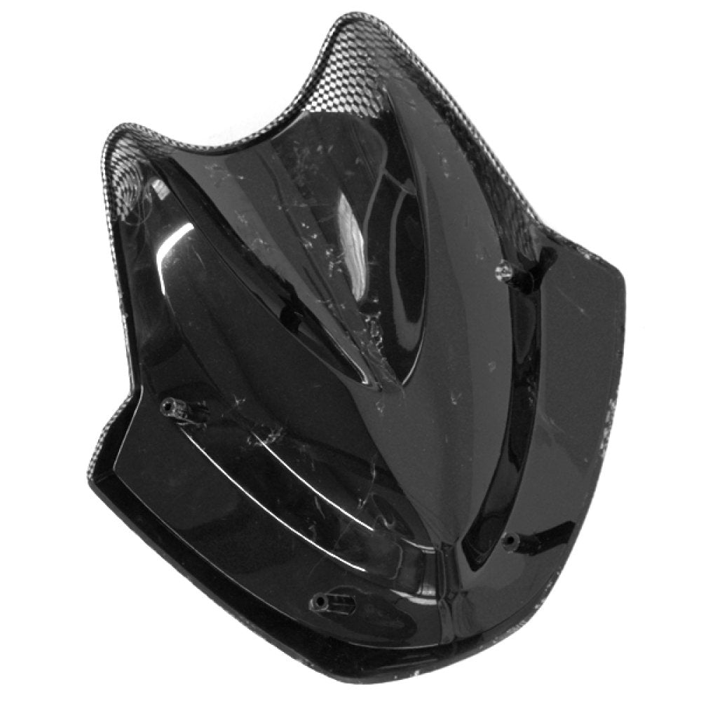 Wind Screen/Visor 2