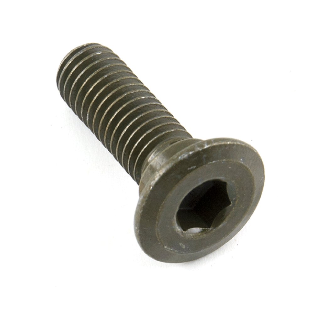 Brake Disc Bolt