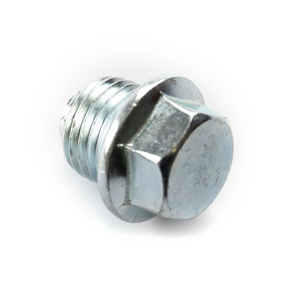 Cam Chain Tensioner Seal Bolt