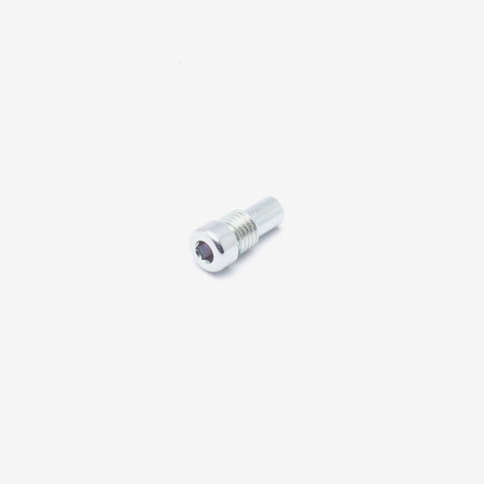 Battery Compartment Cover Bolt M8 x 19mm