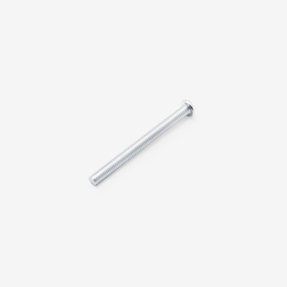 Screw M5 x 55mm 2