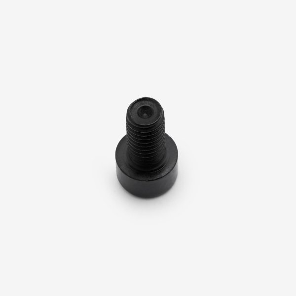 Bolt M6 x 12mm