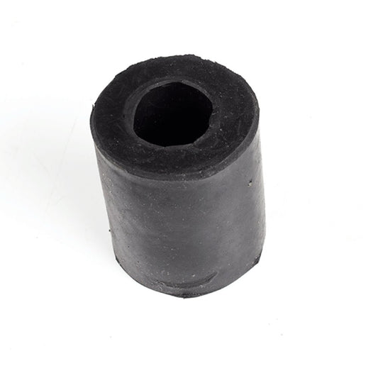 Engine to Frame Bush