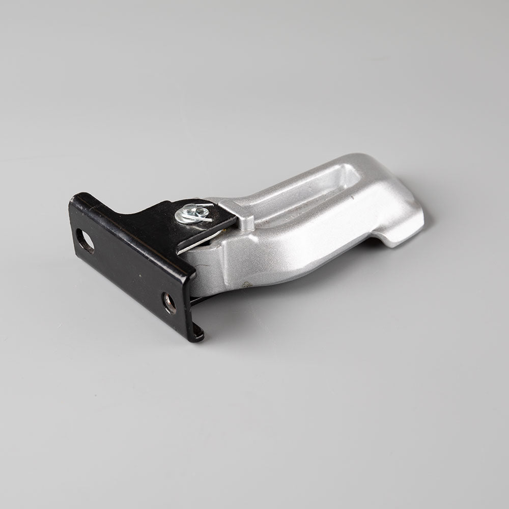 Footpeg Pillion