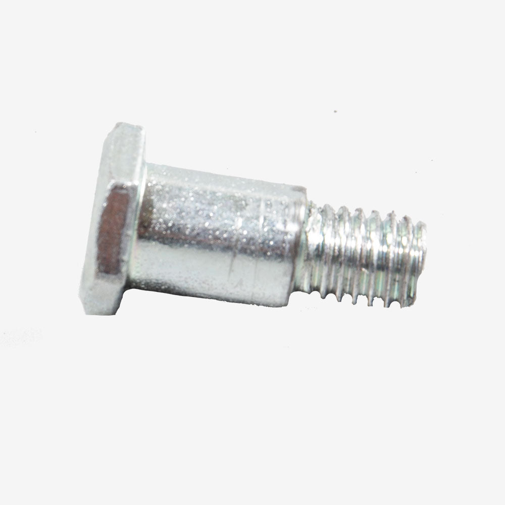 Side Stand Pivot Bolt