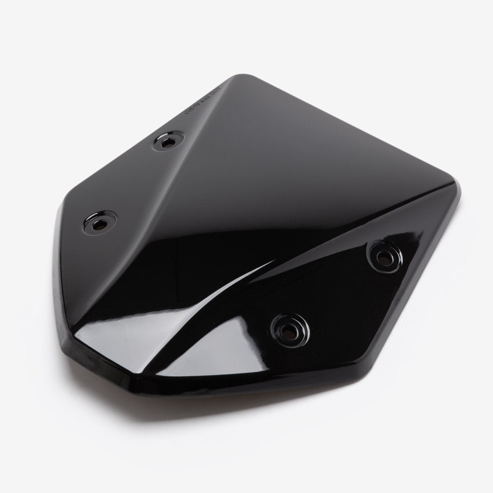 Wind Screen/Visor