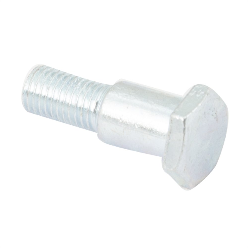 Side Stand Bolt