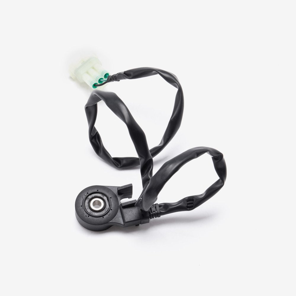 Side Stand Switch 2
