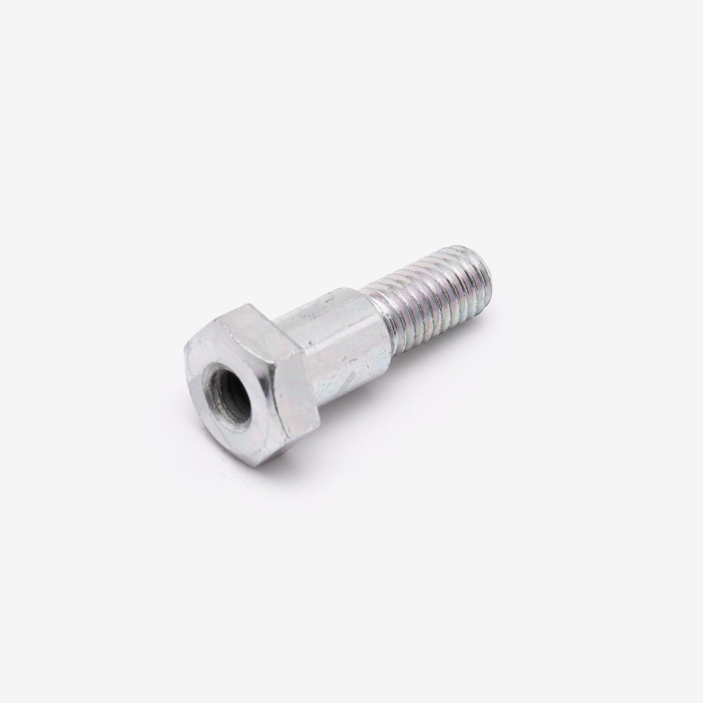Side Stand Bolt 