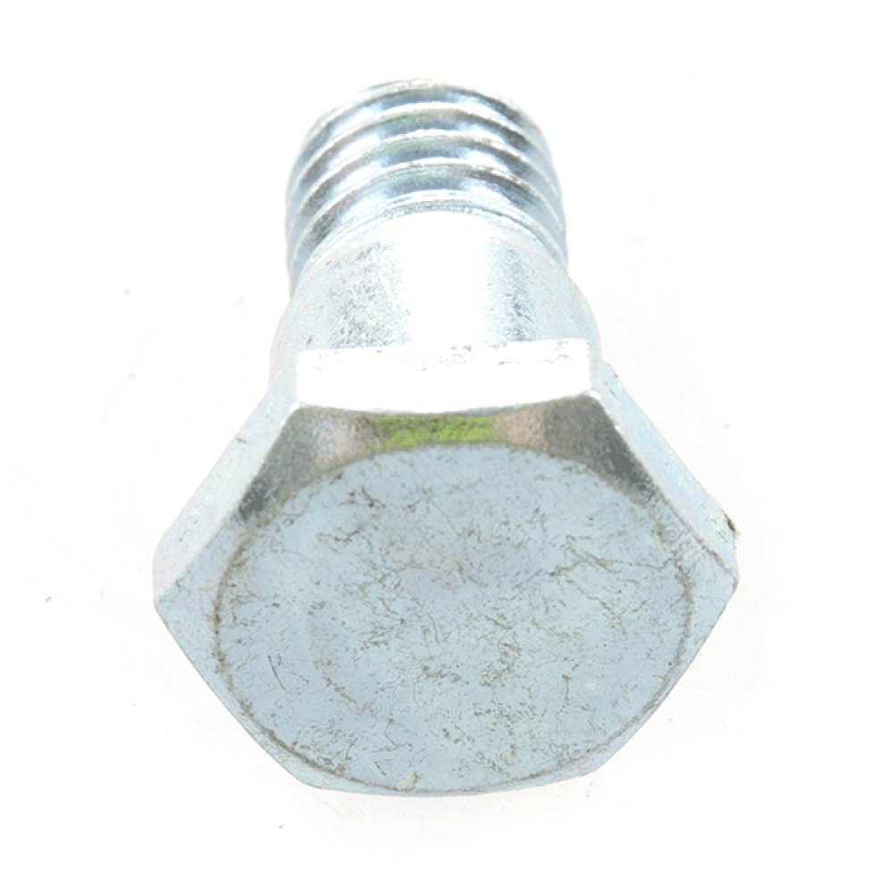Side Stand Bolt