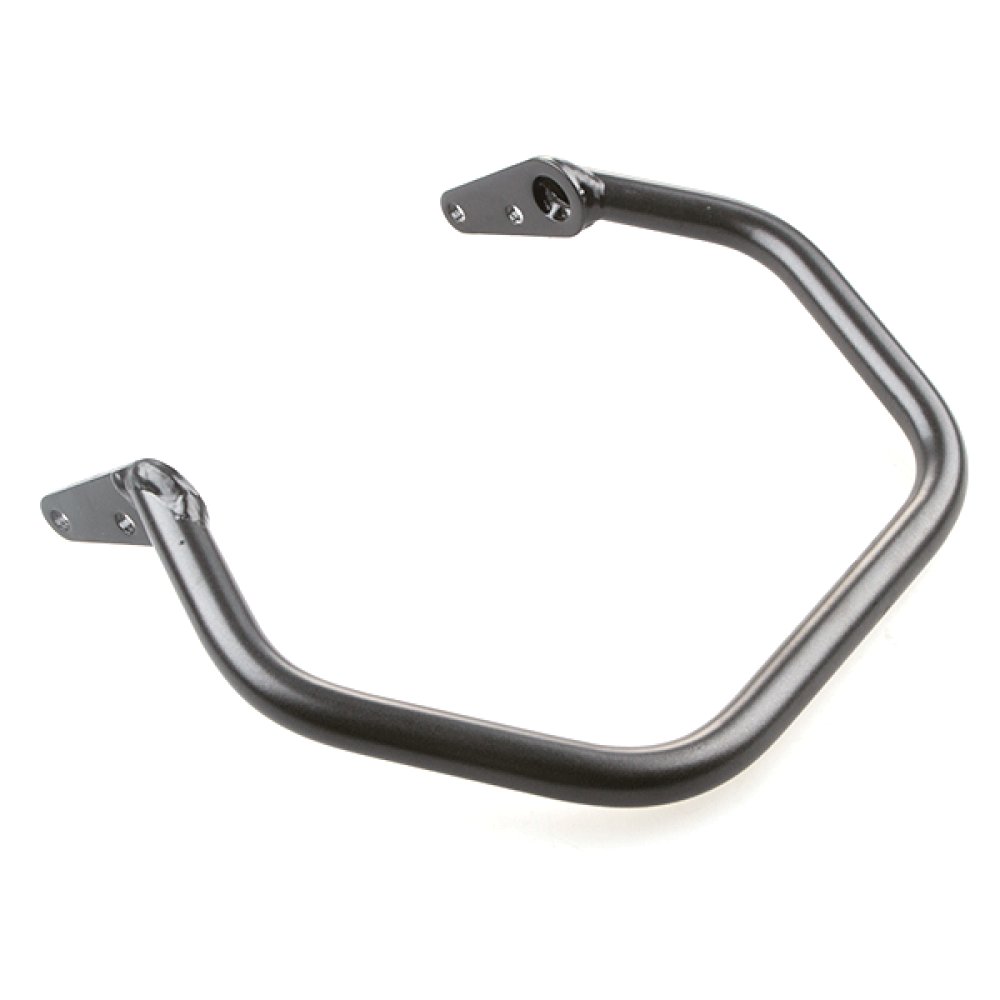 Pillion handle