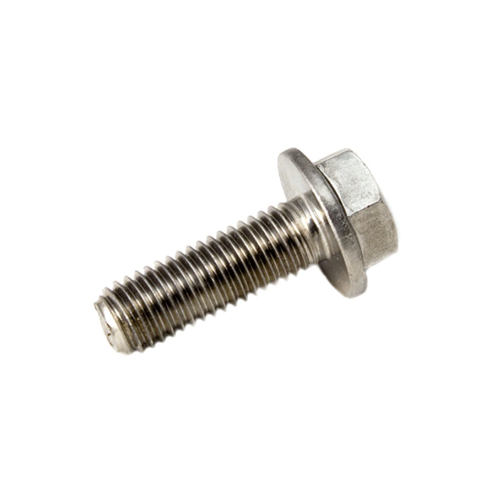 Flanged Hex Bolt A2