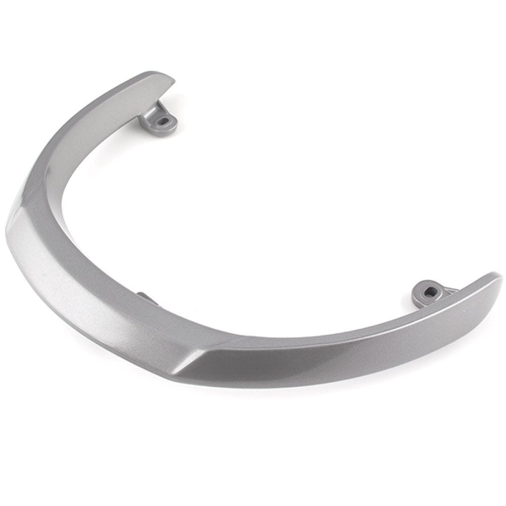 Pillion Handle
