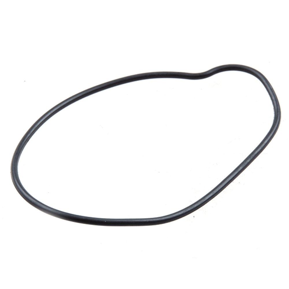 Water Pump O-Ring
