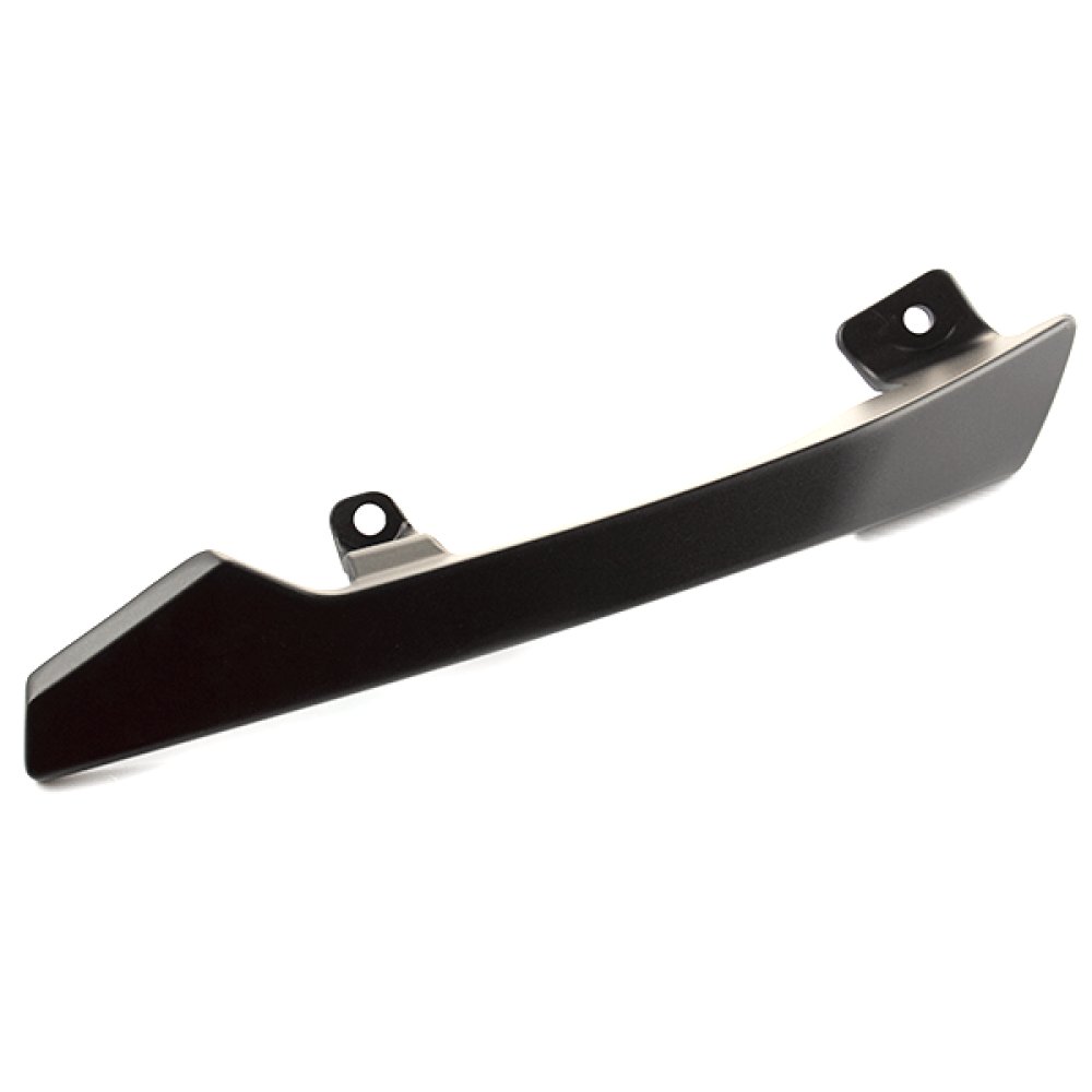 Pillion Handle