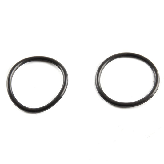 Large Crankcase Cover Plug O-Ring