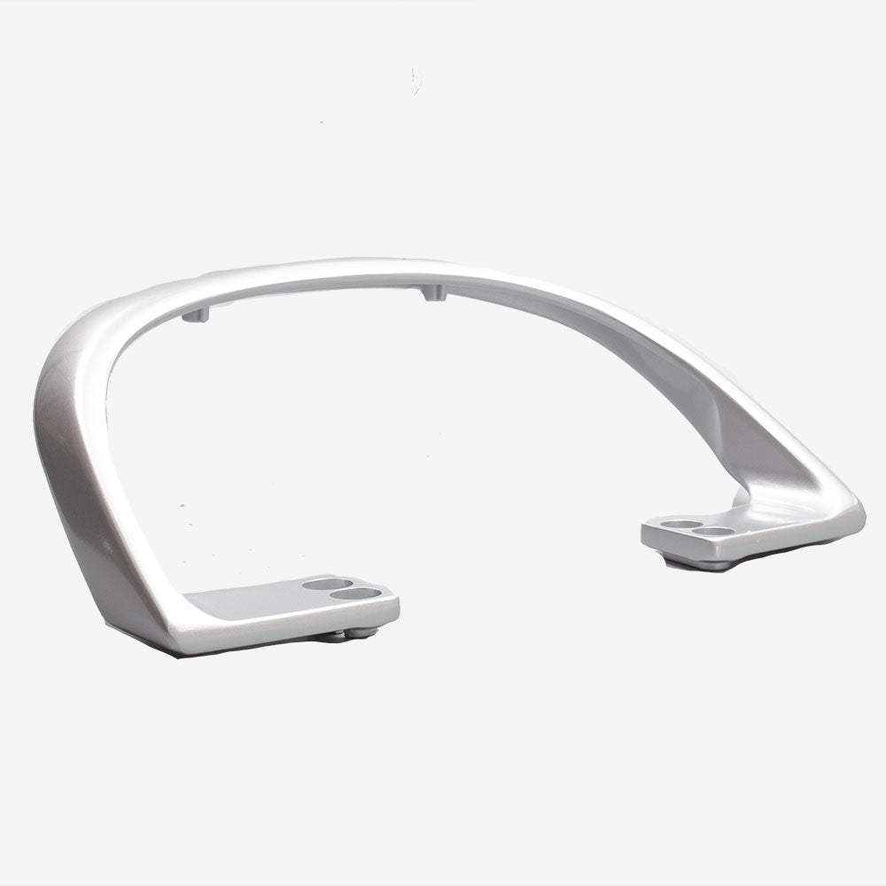 Pillion Handle