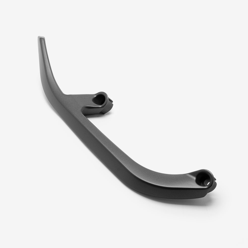 Pillion Handle