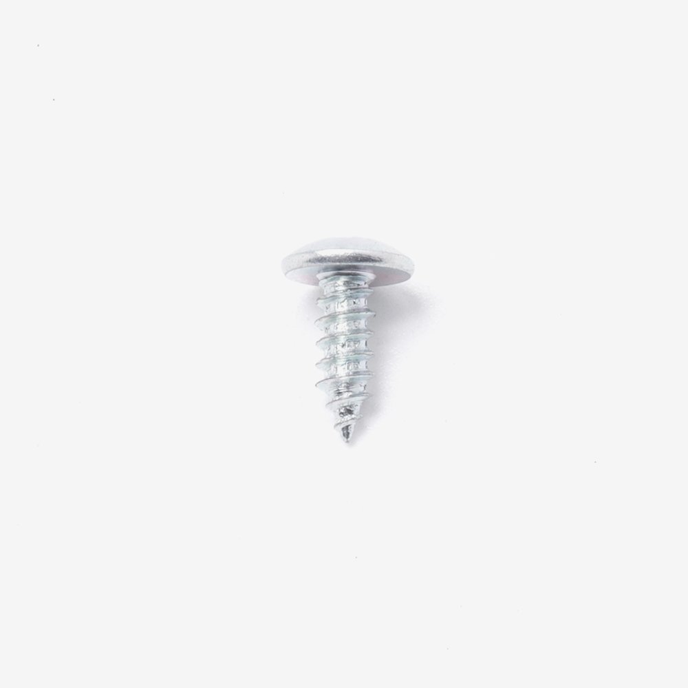 Speedo Assembly Bracket Screw 2
