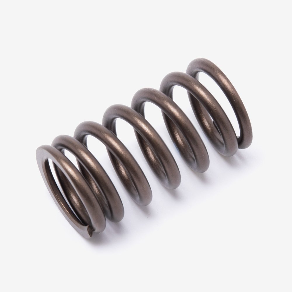 Valve Spring
