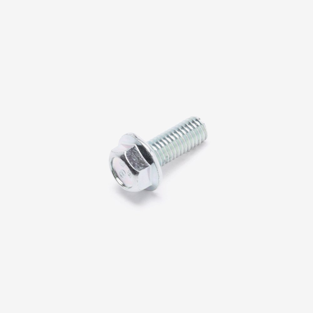 Luggage Bolt