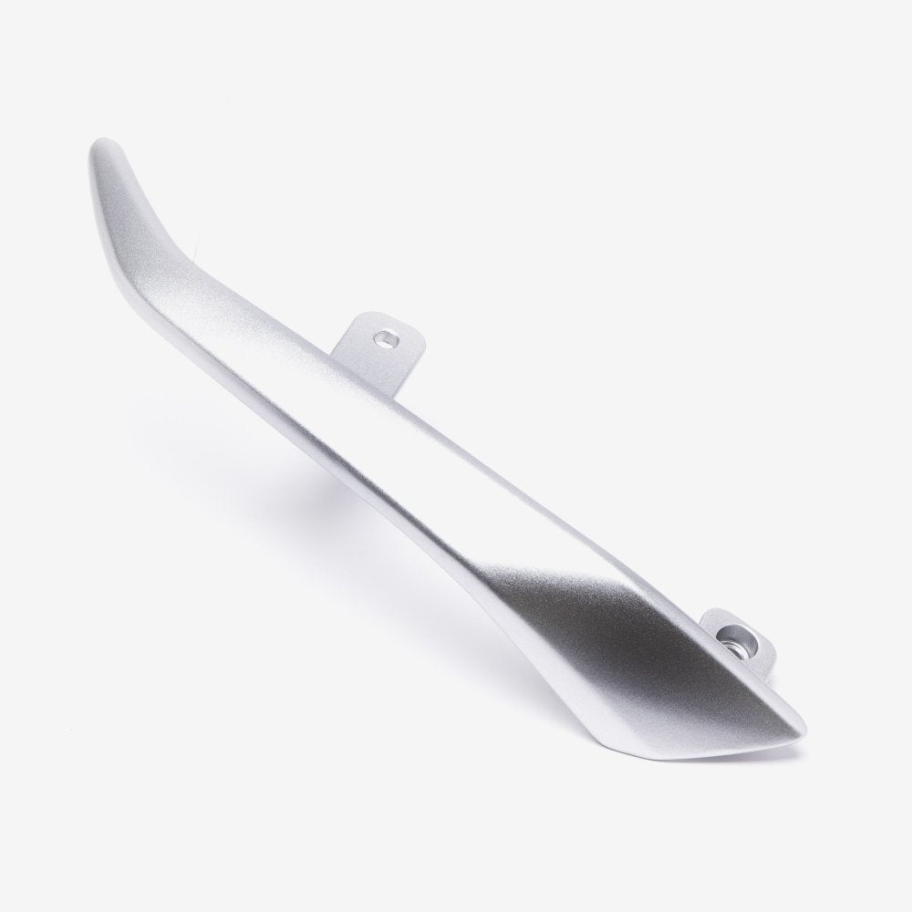 Pillion Handle