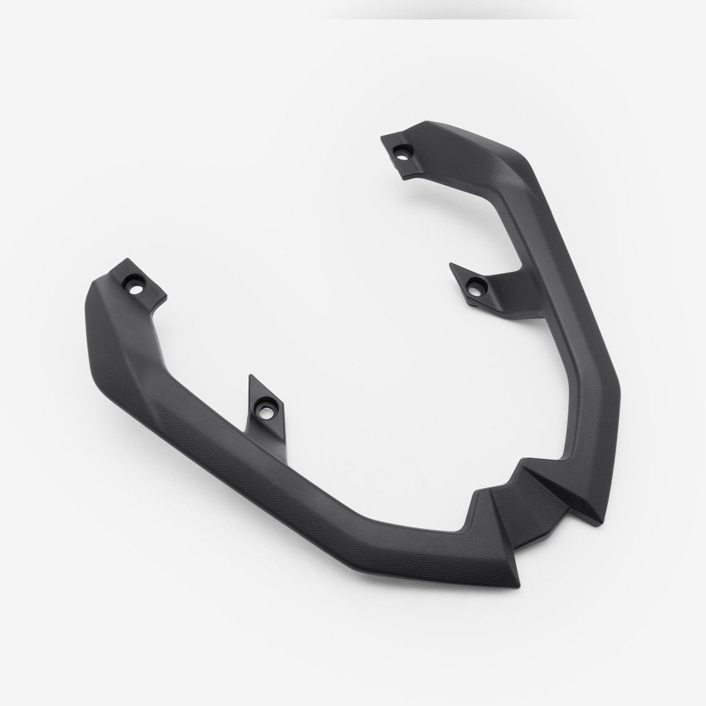 Pillion Handle