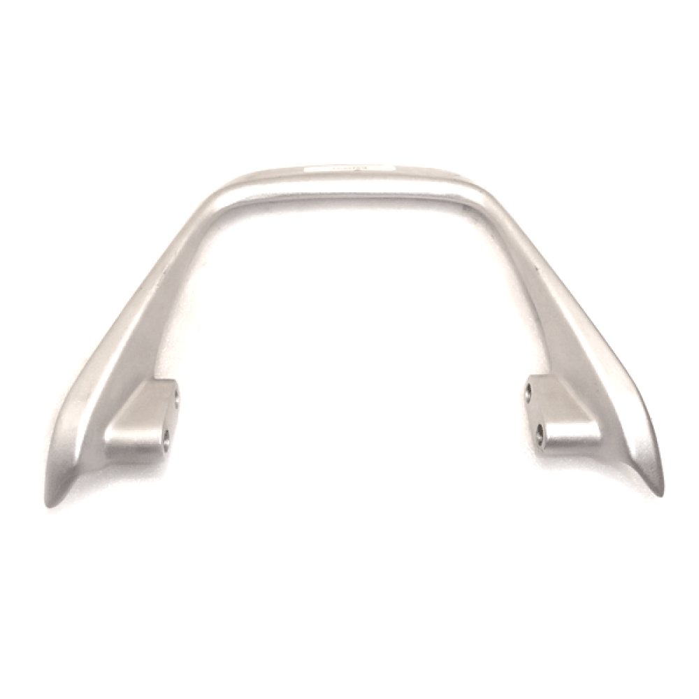 Pillion Handle