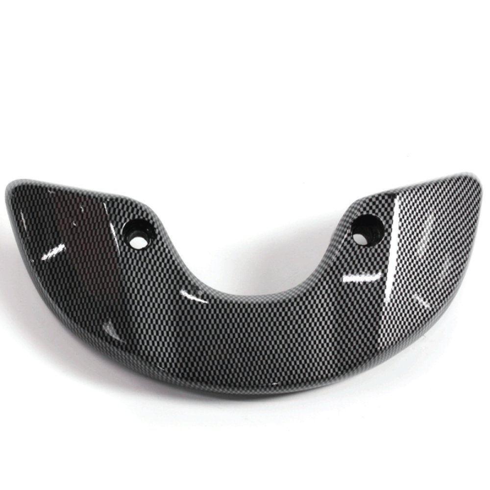 Pillion Handle