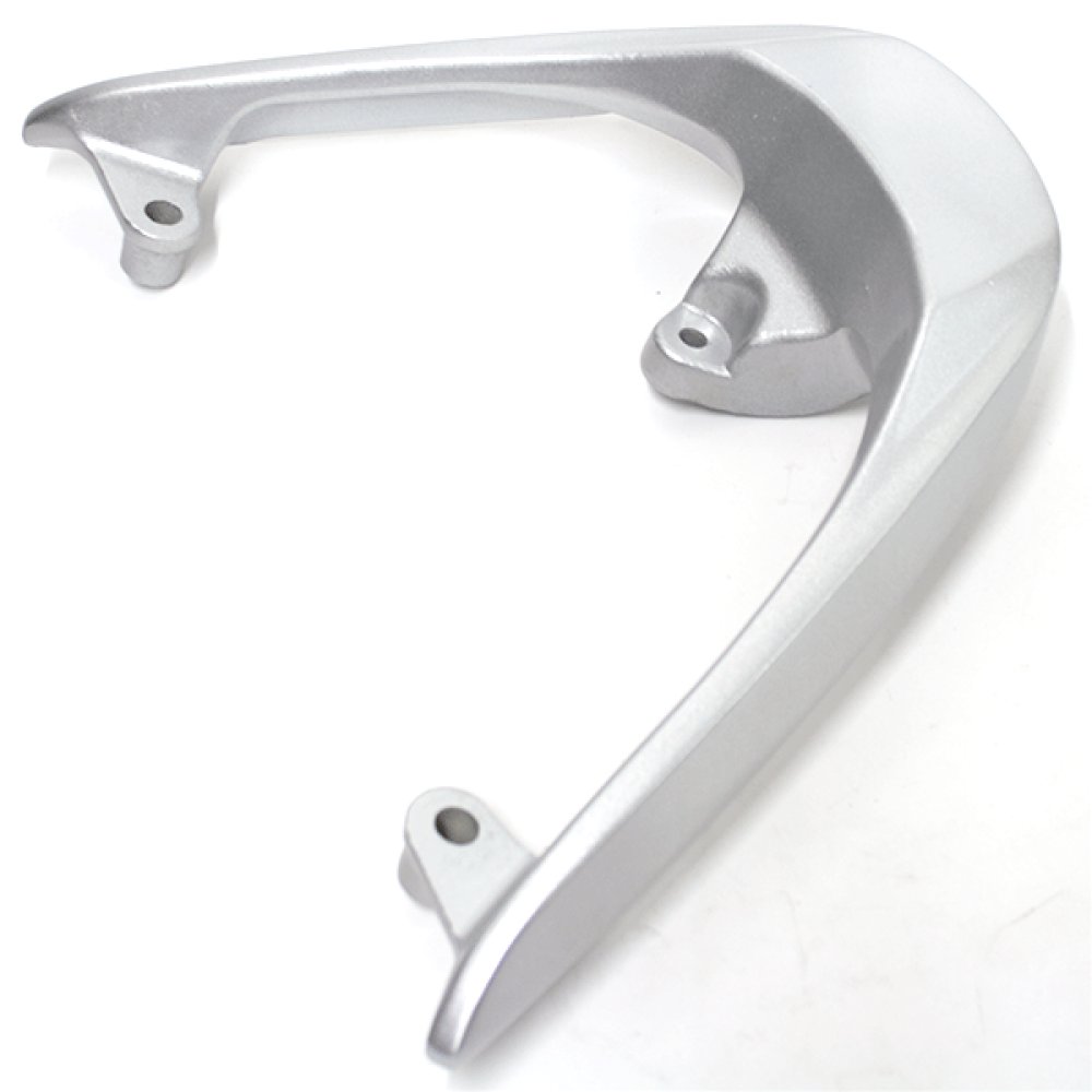 Pillion Handle