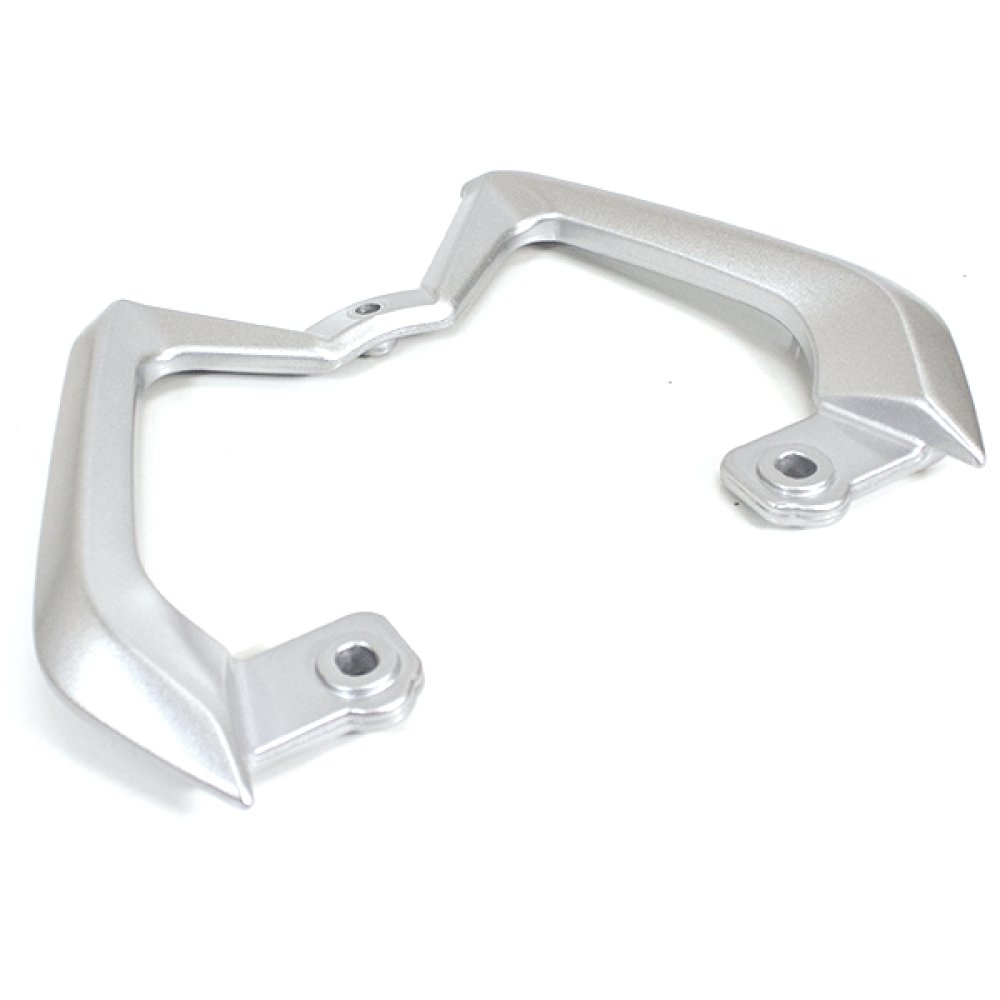 Pillion Handle