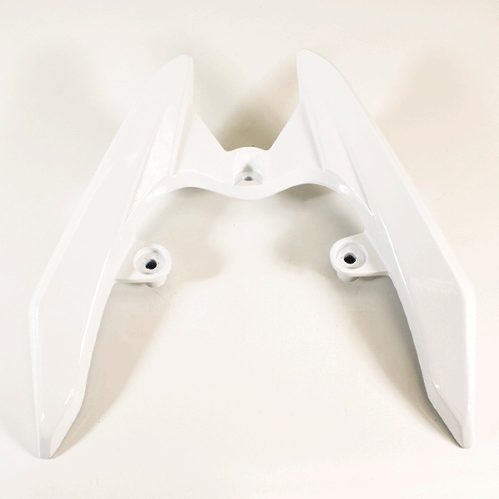 Pillion Handle