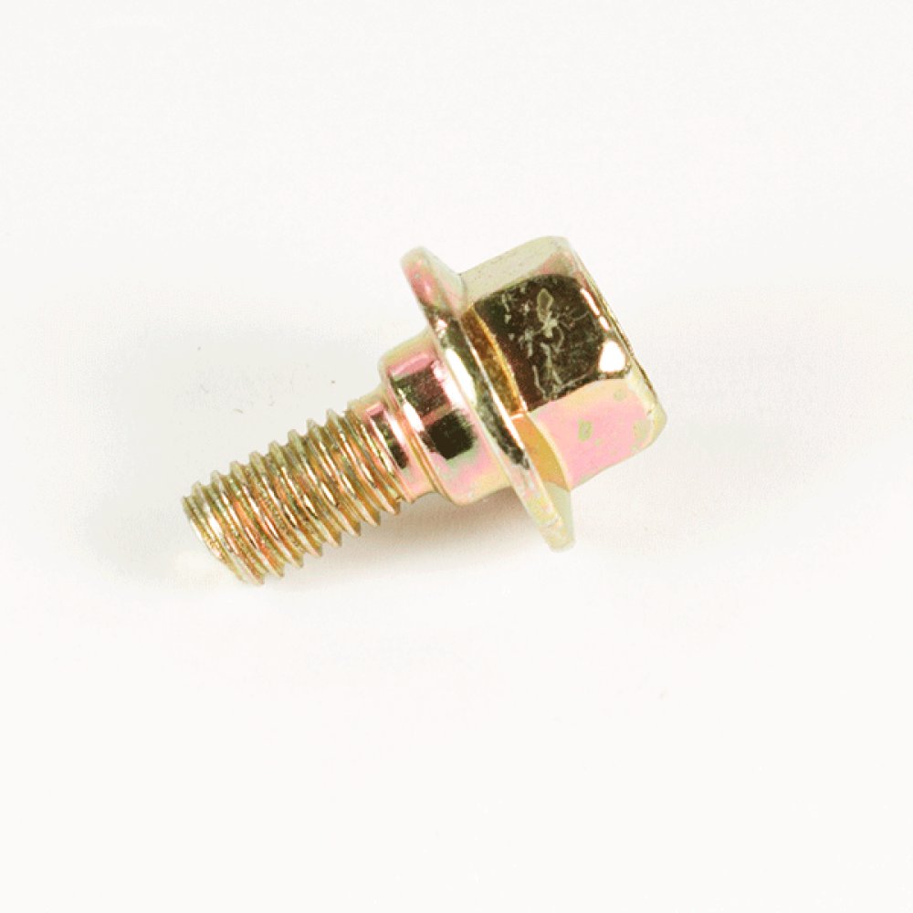 Indicator Mounting Bolt/Nut