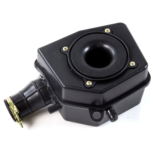 Air Filter Assembly (Air Box)