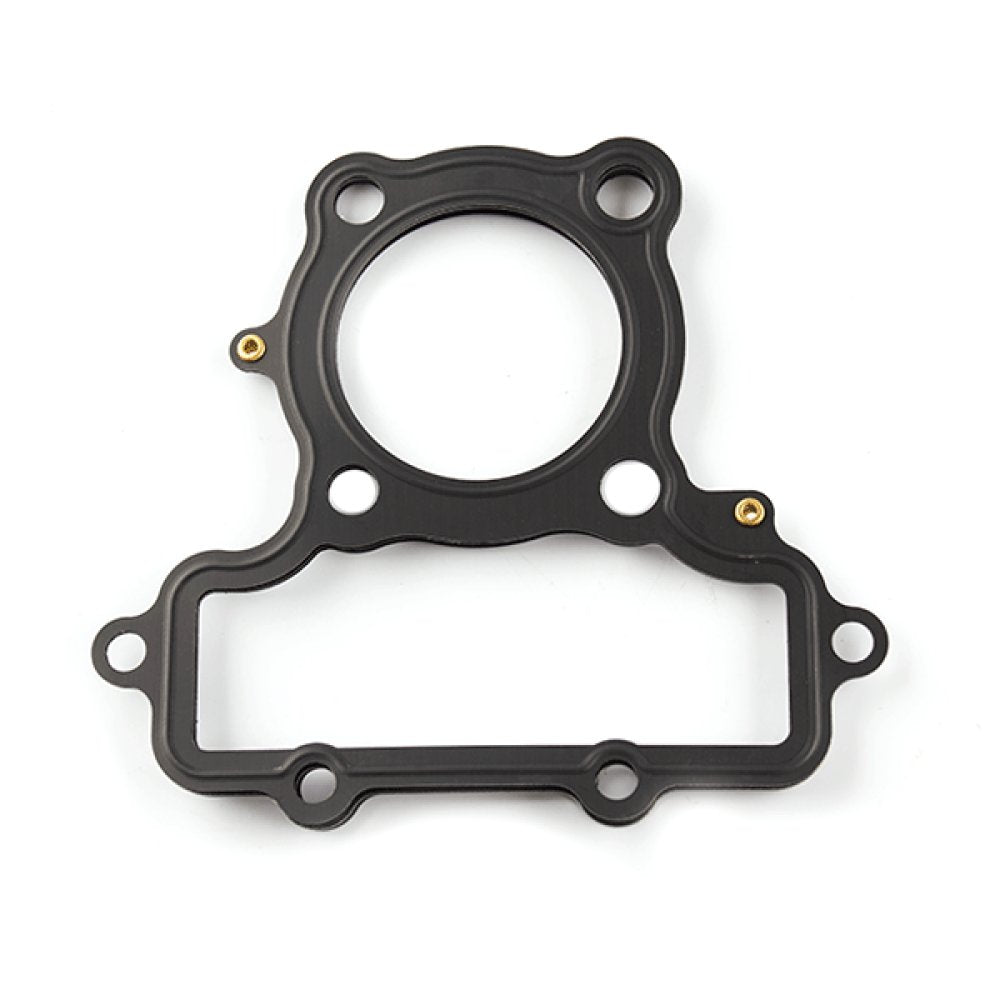 Head Gasket 2