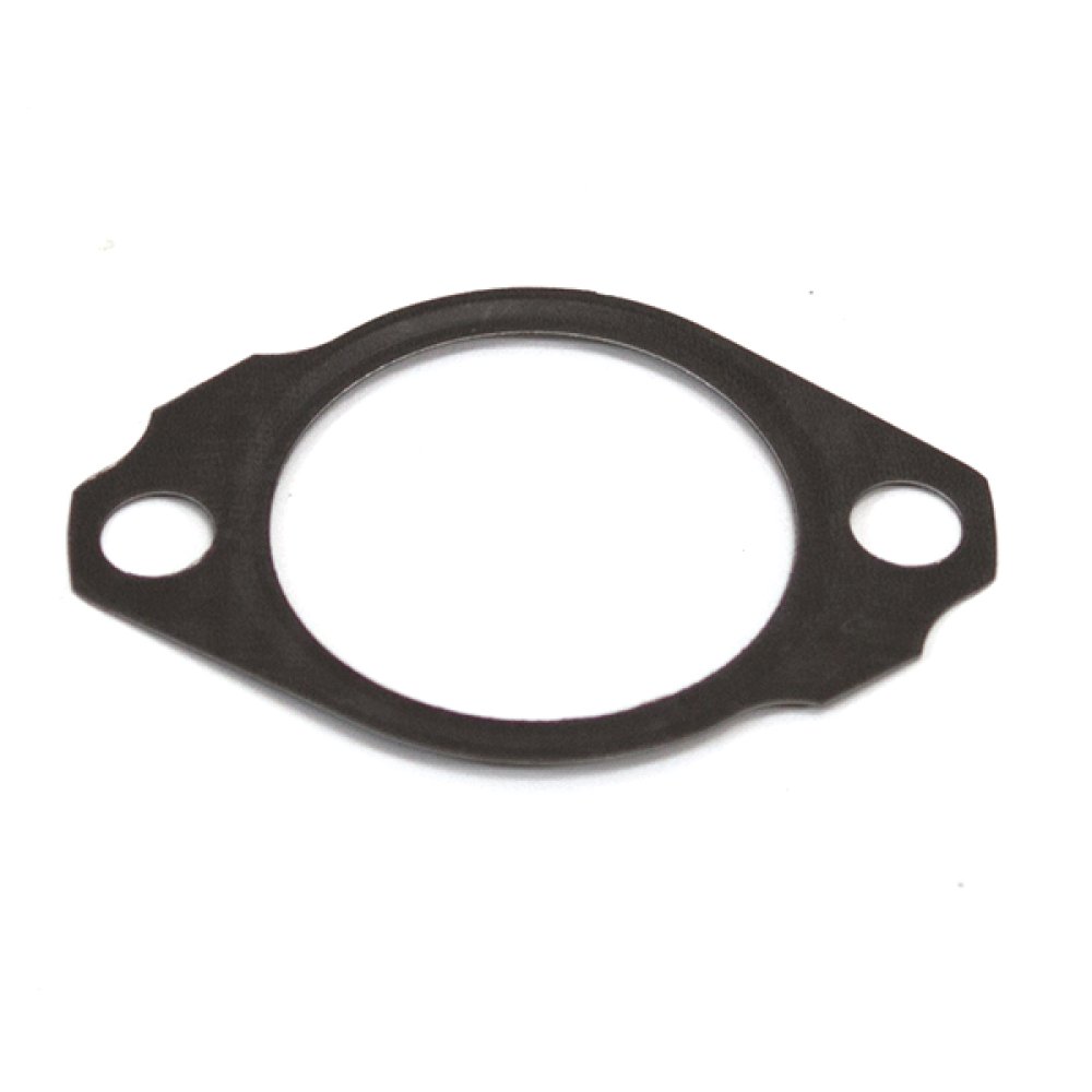 Cam Chain Tensioner Gasket