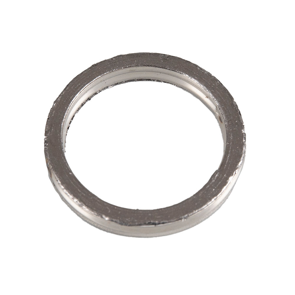 Exhaust Gasket