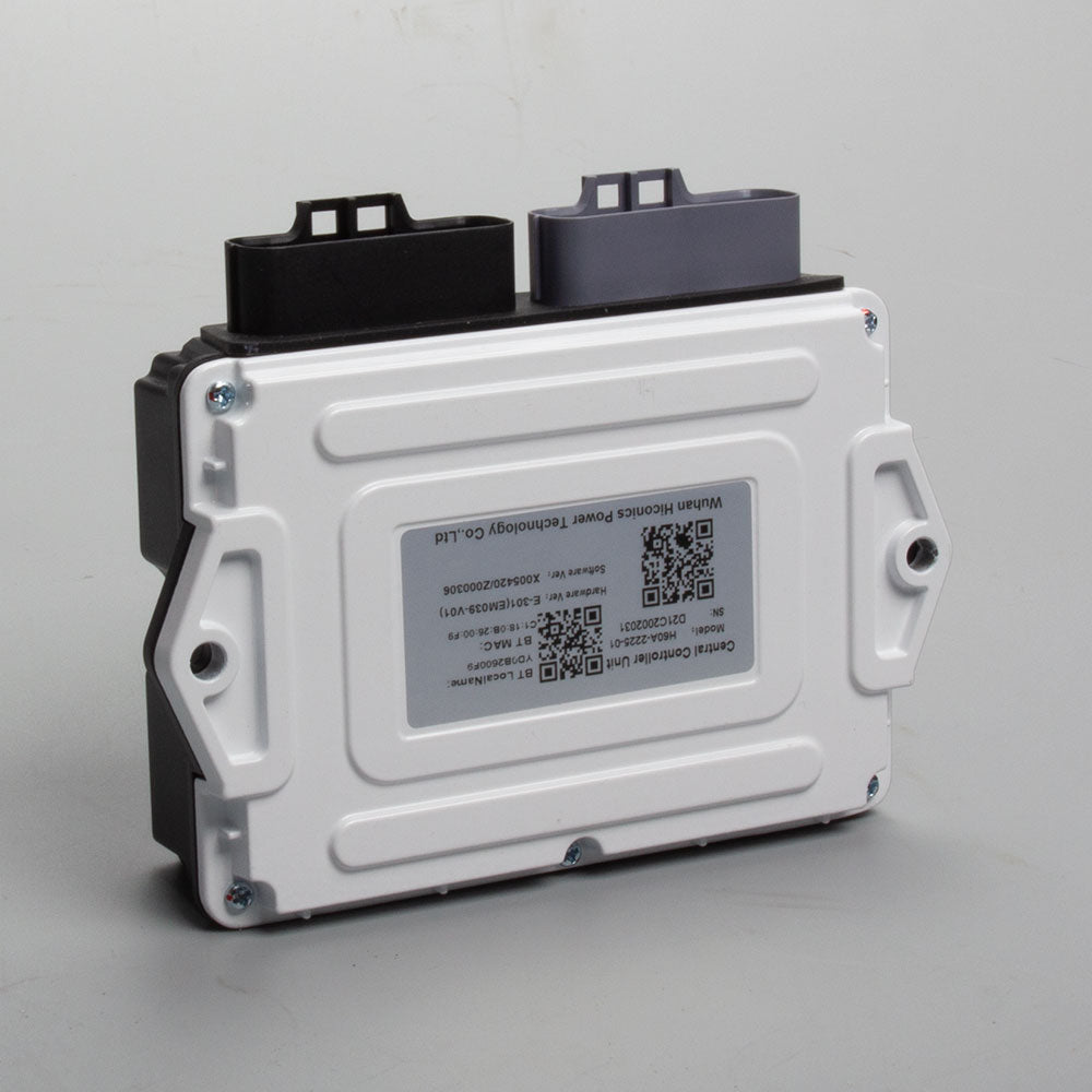 ECU with Alarm & 2 Fobs 3