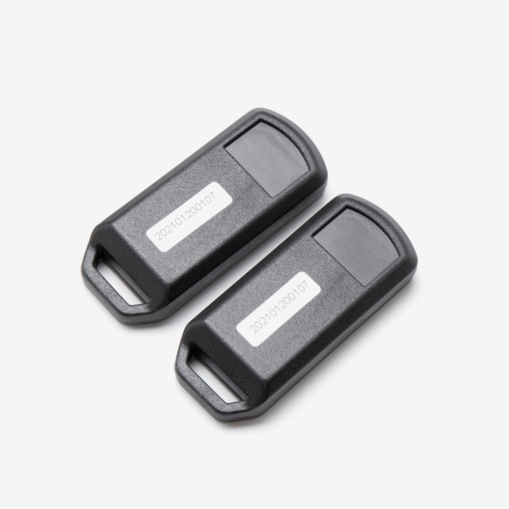 Keyless Ignition Controller and 2 Keys 2