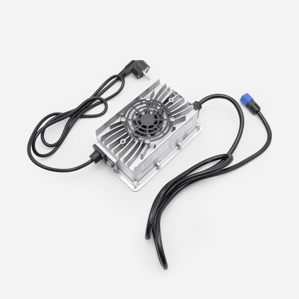 EV Battery Charger (2 Pin Plug)