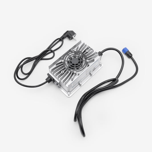 EV Battery Charger (2 Pin Plug)