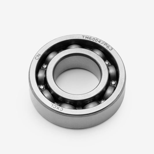 Bearing TM6004