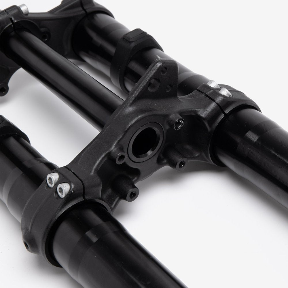 FastAce Front Suspension set - Gold Cap 6