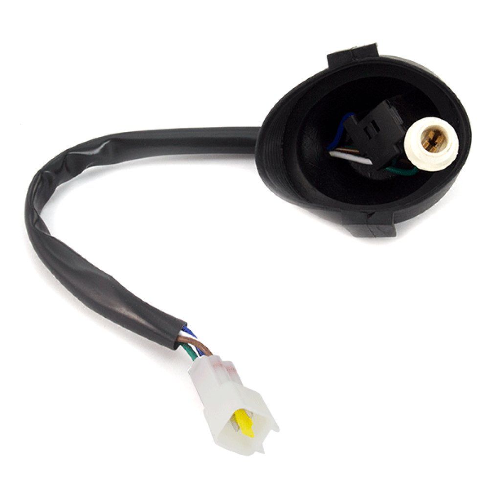 Headlight Bulb Holder/Wiring